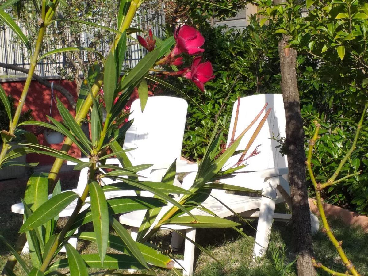 Bed & Breakfast La Rosa Rossa Cagli Buitenkant foto